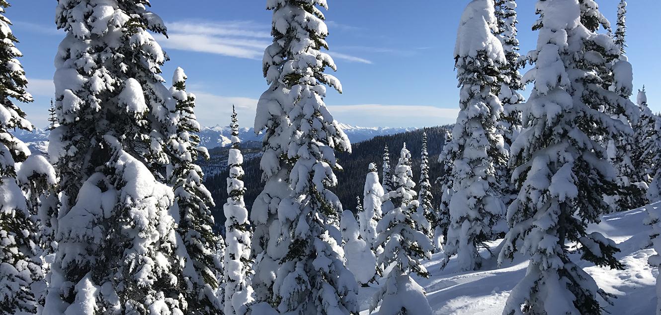 Whitefish Mountain
